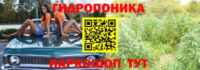 PSILOCYBIN Туймазы